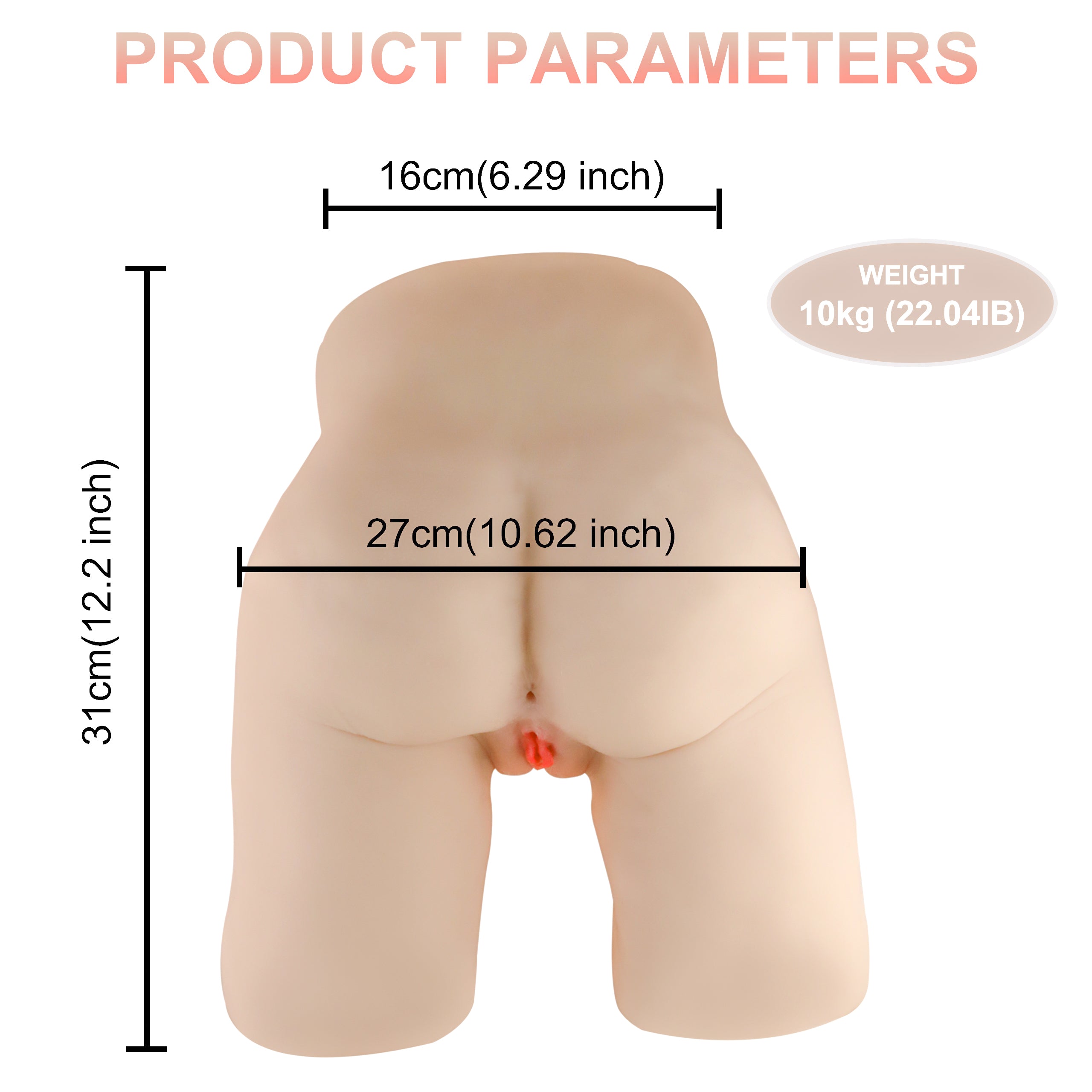Back view of a realistic life-size torso sex doll highlighting measurements of 16cm width, 27cm length, and 31cm height, weight noted as 10kg (22.04lb).