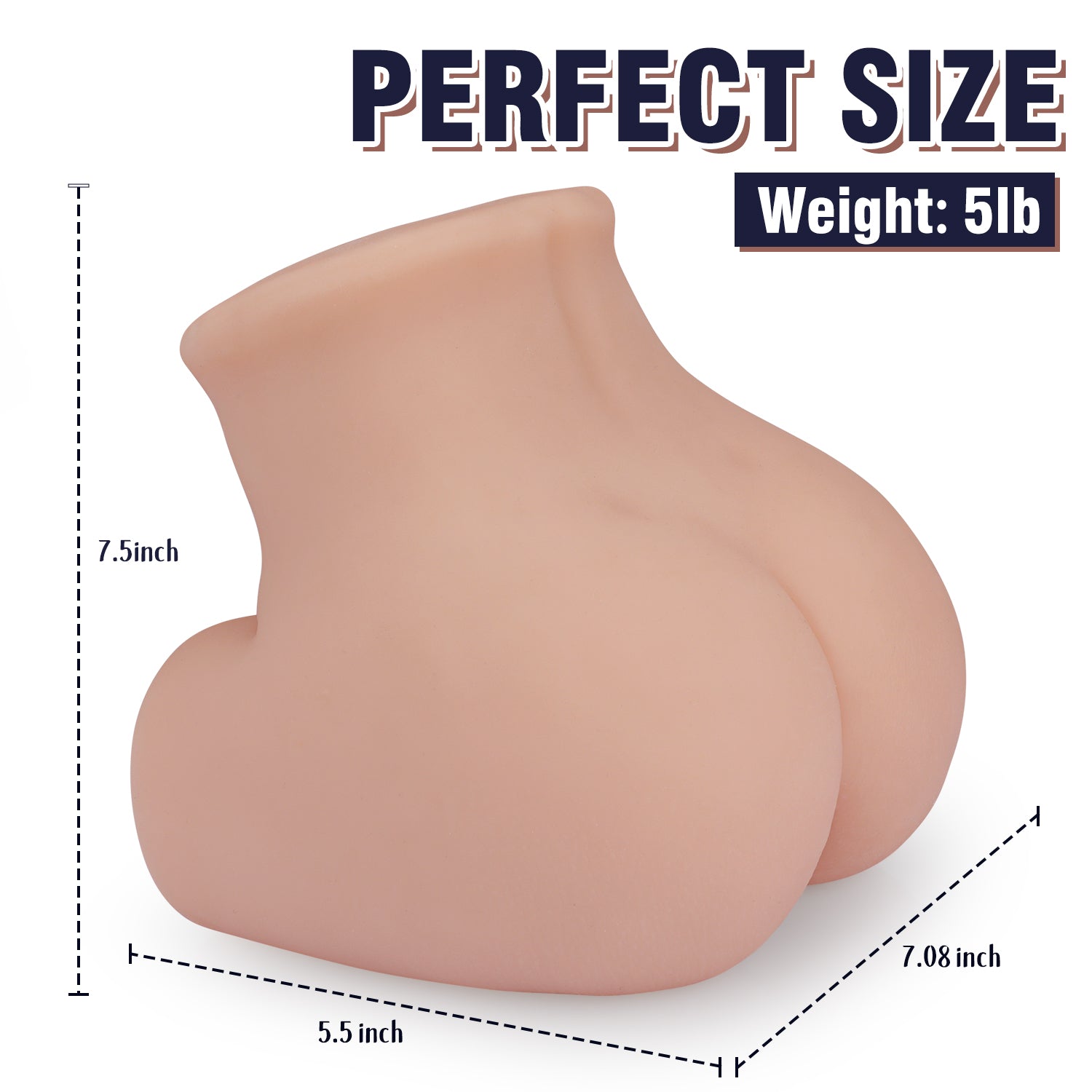 Realistic mini sex doll torso with measurements. The dimensions are 7.5 inches in height, 7.08 inches in width, and 5.5 inches in depth. The text reads 'PERFECT SIZE' and 'Weight: 5lb'.