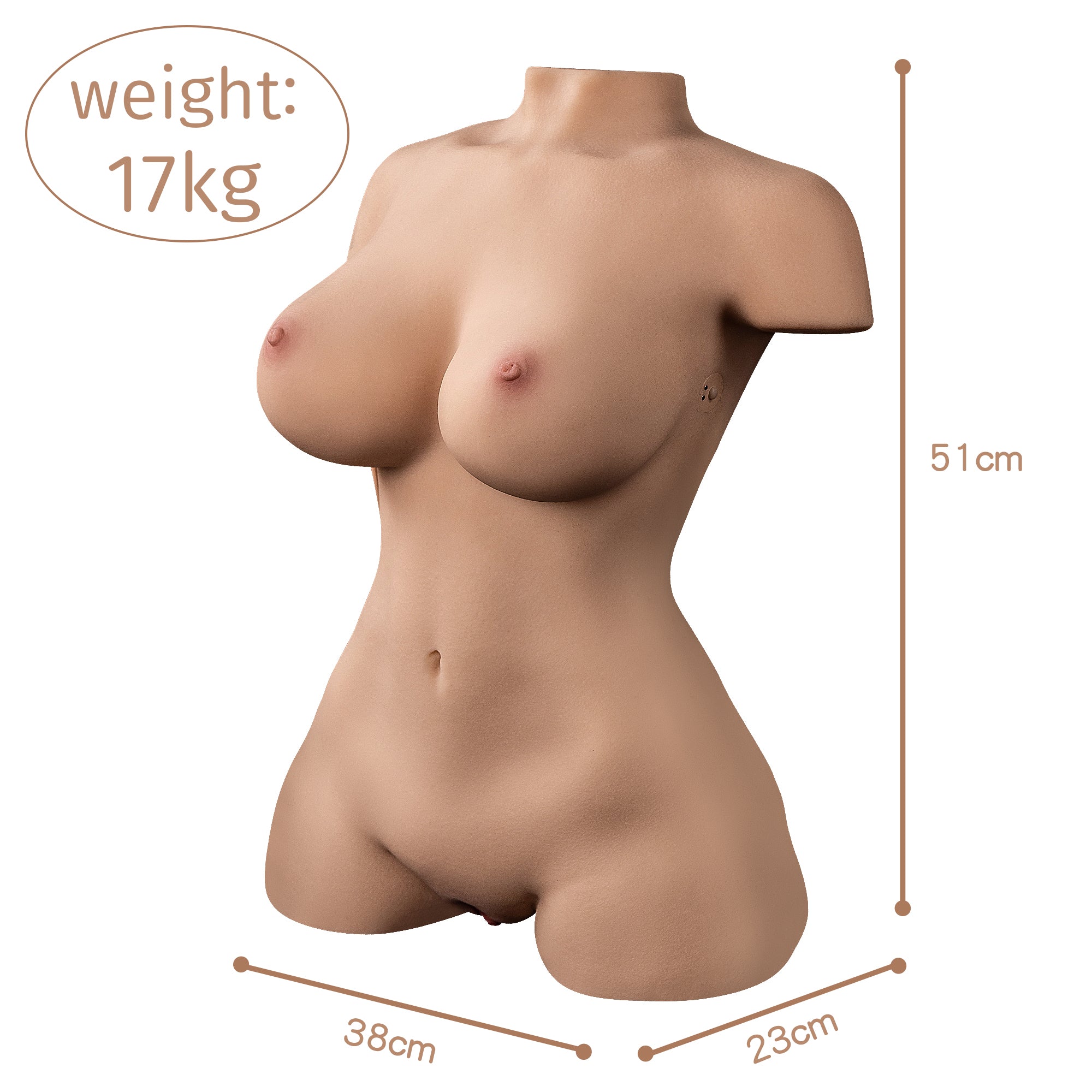 Realistic sex doll torso with large breasts, showing dimensions of height 51cm, bust 38cm, waist 23cm, and weight 17kg.