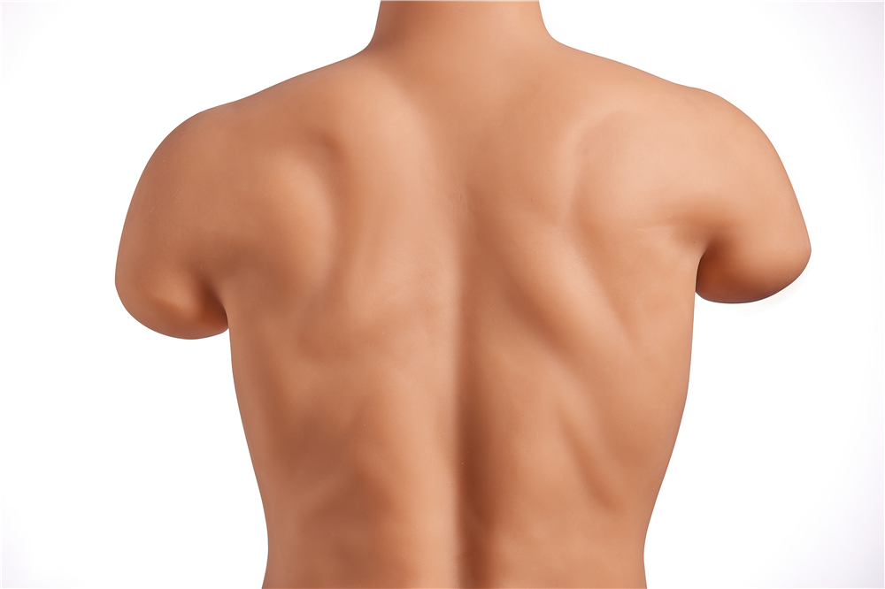 Back view of Mike, a male torso sex doll, featuring detailed musculature and realistic skin texture made from premium TPE, showcasing defined shoulder blades and back muscles.