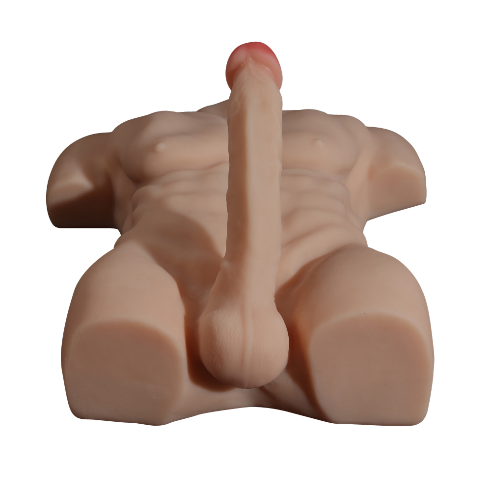 Front view of a life-size male torso sex doll with defined muscles and an erect penis.