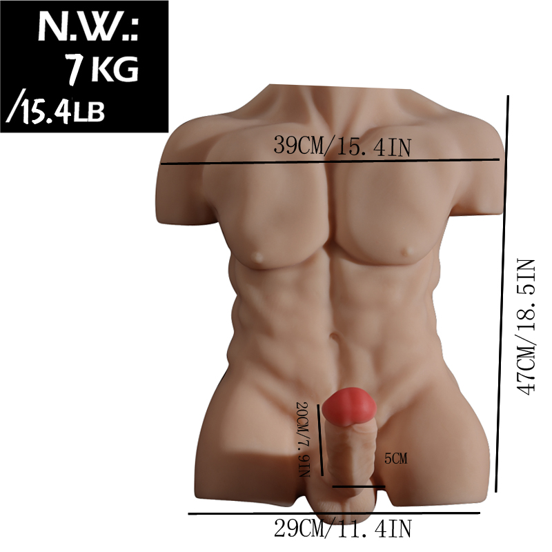 Measurements of a life-size male torso sex doll with defined chest and abs, featuring an erect penis. Dimensions: shoulder width 39CM/15.4IN, height 47CM/18.5IN, hip width 29CM/11.4IN, penis length 20CM/7.9IN, and weight 7KG/15.4LB.