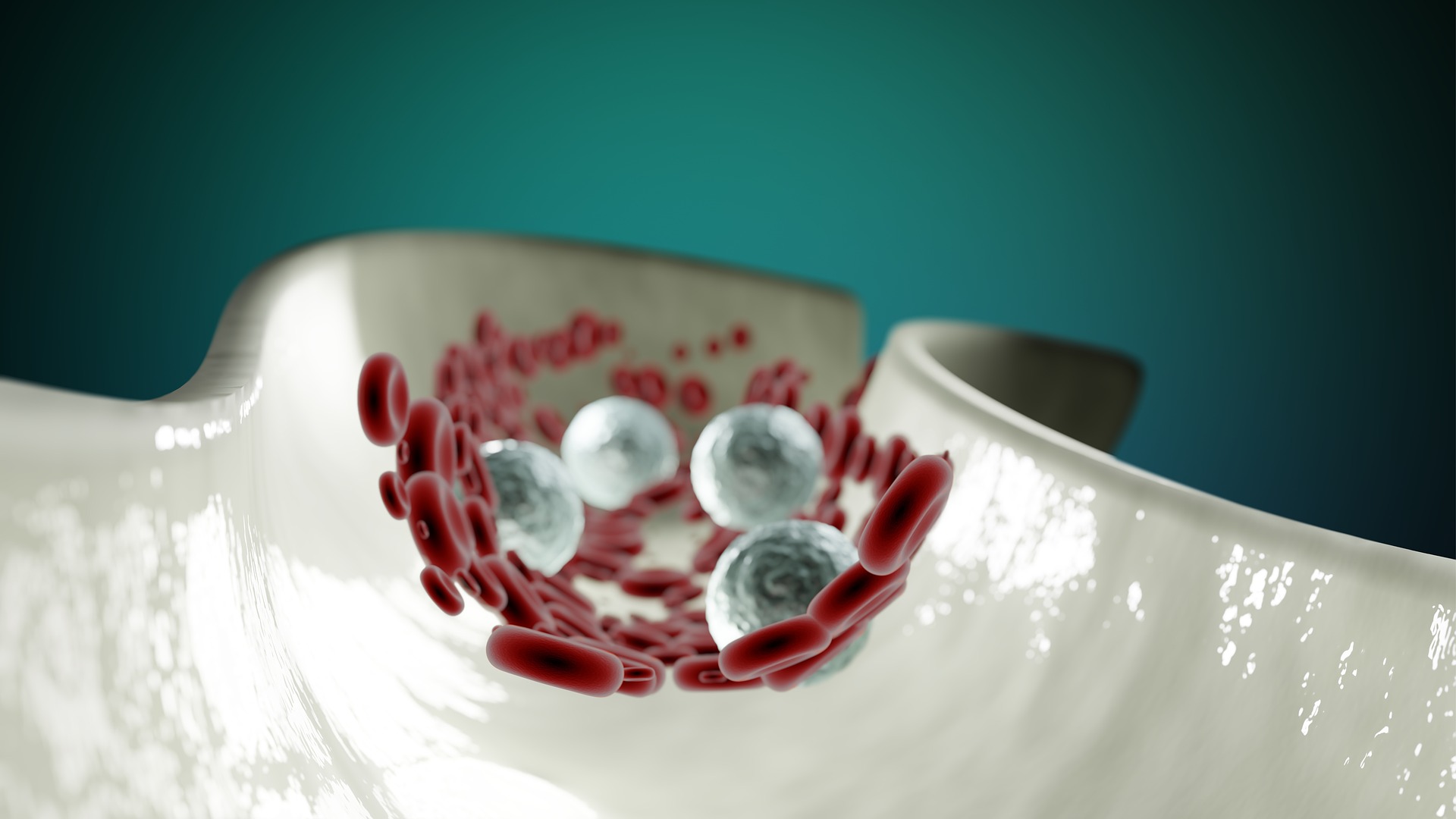 blood-cells-g2389477cf_1920.jpg
