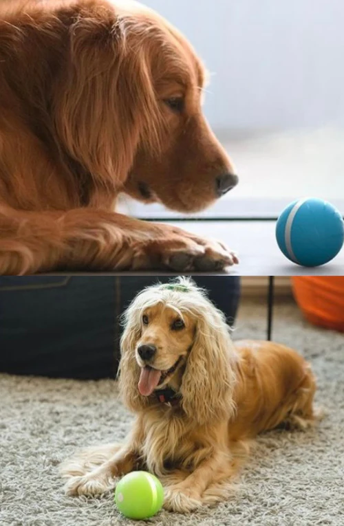 Happy Doggie Magic Ball-Festivesl