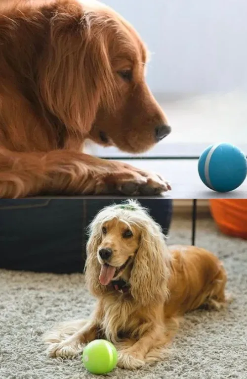 Happy Doggie Magic Ball-Festivesl