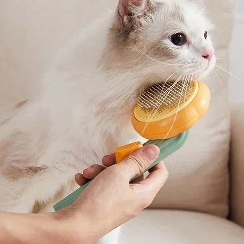 NEW YEAR HOT SALE 40% OFF-Pumpkin Pet Grooming Tool Pet Remove Hair Brush-BUY 2 FREE SHIPPING-Festivesl