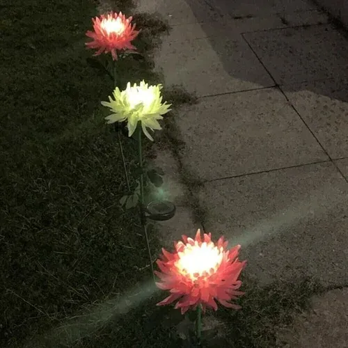 🎁Best Mother's Day Gift Of 2023🎁Outdoor Chrysanthemum Solar Garden Stake Decor Lights-Festivesl
