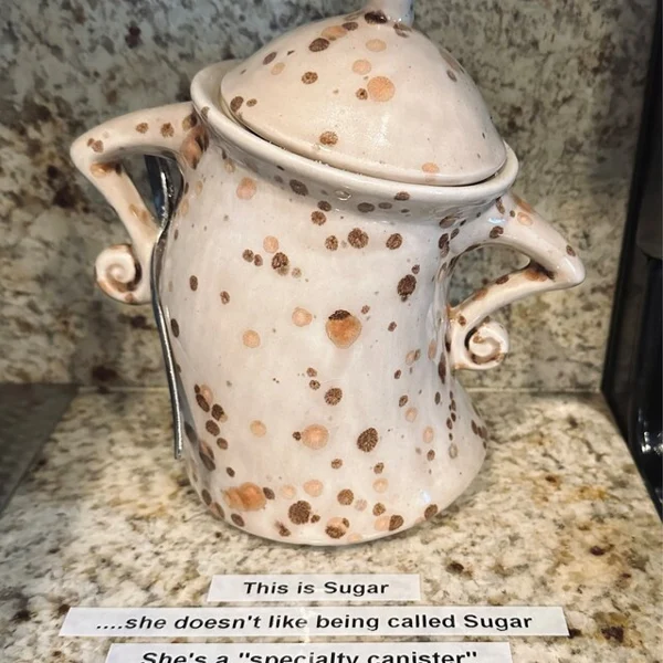 Last Day 49% OFF - Canister with Attitude-Festivesl