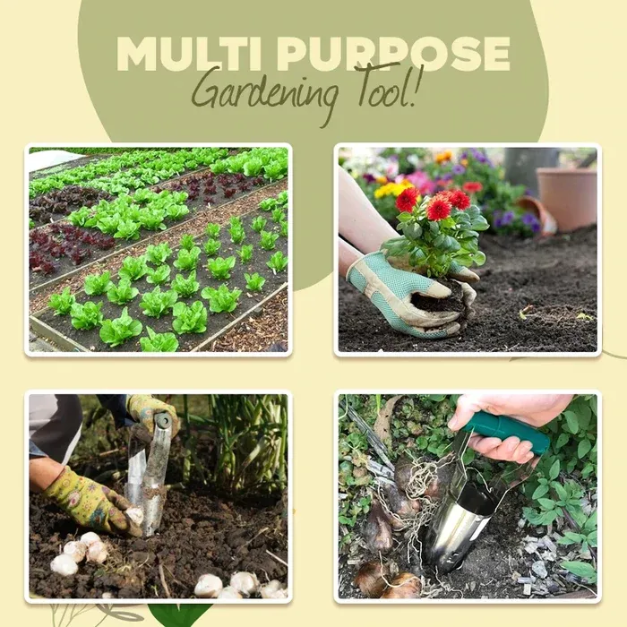 Seedling Easy Transplanter-Festivesl