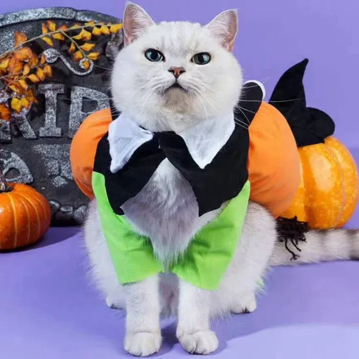 🎃Halloween Special 49% OFF🎃Dog & Cat Pumpkin Halloween Costume(BUY 2 GET FREE SHIPPING）-Festivesl