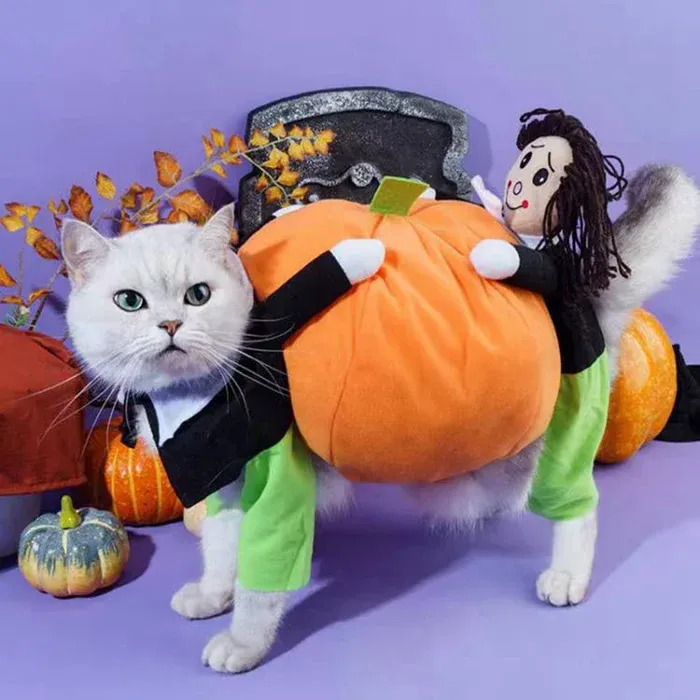 🎃Halloween Special 49% OFF🎃Dog & Cat Pumpkin Halloween Costume(BUY 2 GET FREE SHIPPING）-Festivesl