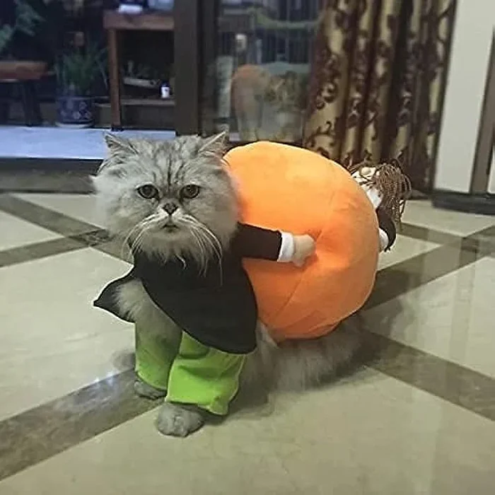 🎃Halloween Special 49% OFF🎃Dog & Cat Pumpkin Halloween Costume(BUY 2 GET FREE SHIPPING）-Festivesl