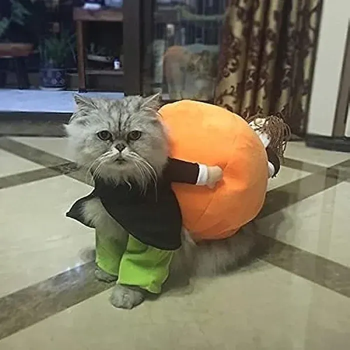 🎃Halloween Special 49% OFF🎃Dog & Cat Pumpkin Halloween Costume(BUY 2 GET FREE SHIPPING）-Festivesl