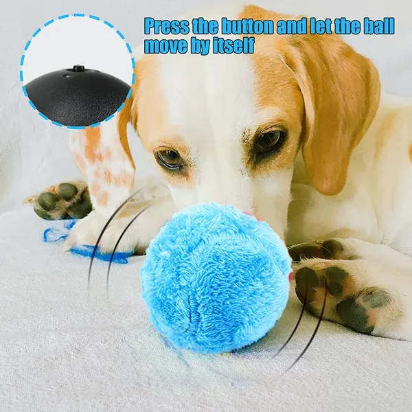 🐾Mega Sale - Active Rolling Ball (4 Colors Included)-Festivesl