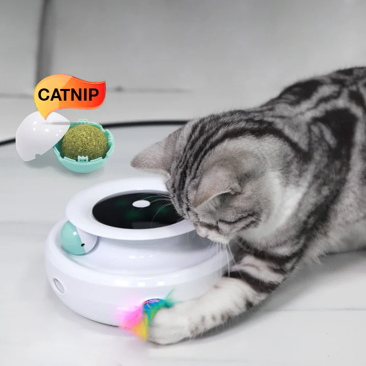 NEW! Electronic Catnip Track Cat Toy-Festivesl
