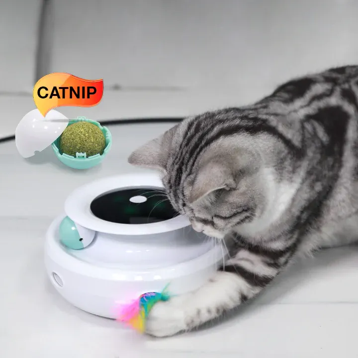 NEW! Electronic Catnip Track Cat Toy-Festivesl