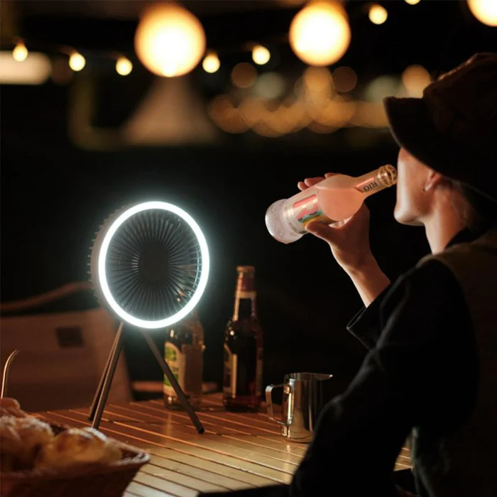 3-in-1 Smart Portable Fan-Festivesl