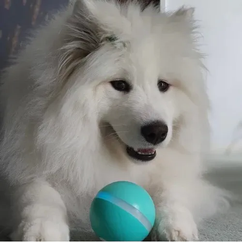 Happy Doggie Magic Ball-Festivesl