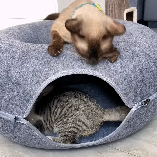 🔥Last Day Promotion -50% OFF🔥MeowMaze Tunnel Bed-Festivesl