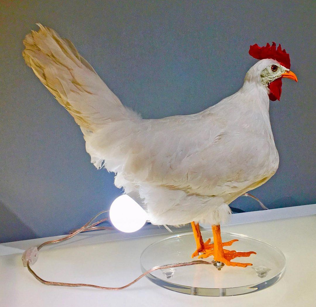 🔥Christmas Gift 70% OFF🎁Very odd yet quite intriguing chicken egg lamp is considered art-Festivesl