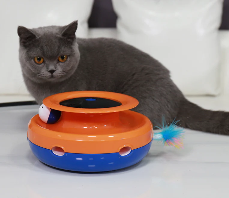NEW! Electronic Catnip Track Cat Toy-Festivesl
