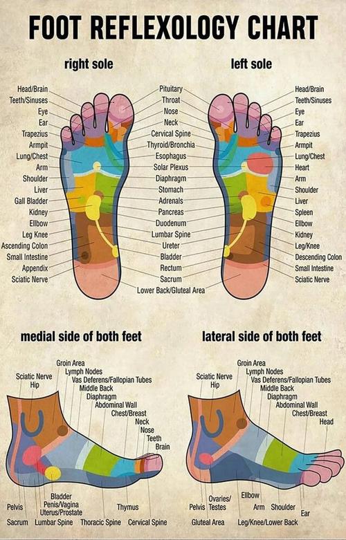 🔥Last Day Promotion -50% OFF🔥Electric EMS Foot Massager: Healing Therapy Care-Festivesl