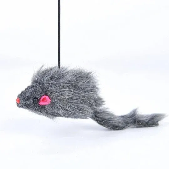 (🔥Last Day Promotion 49% OFF) Funny Pet Toy - Hanging Door Type Black Mouse (BUY 2 GET 1 FREE)-Festivesl