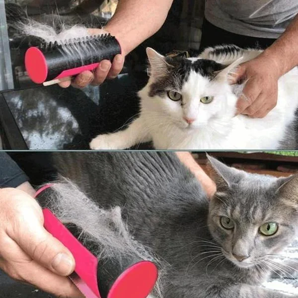 (⏱Last Day Promotion 49% OFF) Multifuncional Pet Hair Removing Grooming Brush 🔥BUY 2 SAVE $10-Festivesl