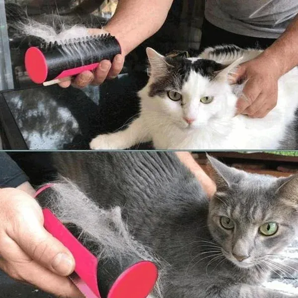 (⏱Last Day Promotion 49% OFF) Multifuncional Pet Hair Removing Grooming Brush 🔥BUY 2 SAVE $10-Festivesl