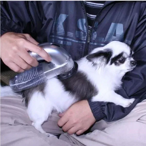 Handheld Pet Hair Vacuum 🔥BUY 2 SAVE $10 & FREE SHIPPING-Festivesl