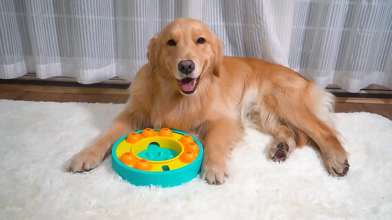 🔥HOT SALES🔥Wisdom Dog Toys Slow Leakage Feeding Training