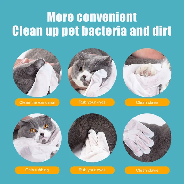 Pet Grooming Glove Wipes （🔥BUY 2 GET 1 FREE）-Festivesl