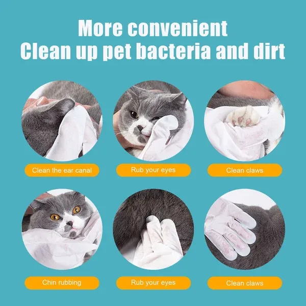 Pet Grooming Glove Wipes （🔥BUY 2 GET 1 FREE）-Festivesl