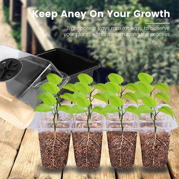 (🔥Spring Promotion 48% OFF) Seed Starter Trays with Grow Light-Festivesl