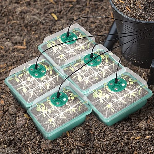 (🔥Spring Promotion 48% OFF) Seed Starter Trays with Grow Light-Festivesl