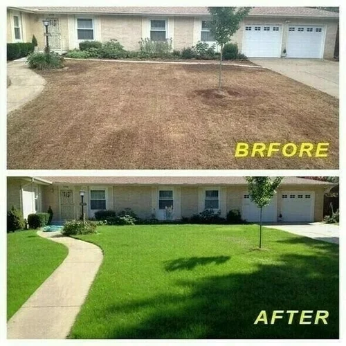 🌳Grass Seed Mat: The Perfect Solution For Your Lawn Problems -Without Seed-Festivesl