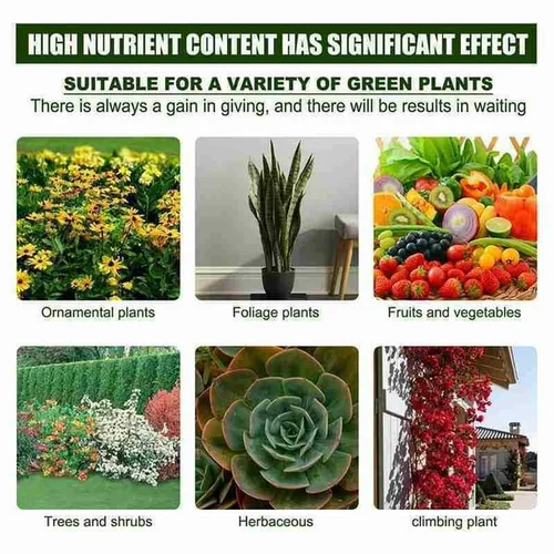 (🌳2023 Hot Sale 49% OFF) Plant Nutrient Solution - BUY 3 GET 2 FREE & FREE SHIPPING-Festivesl