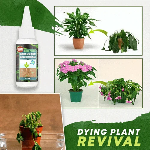 (🌳2023 Hot Sale 49% OFF) Plant Nutrient Solution - BUY 3 GET 2 FREE & FREE SHIPPING-Festivesl