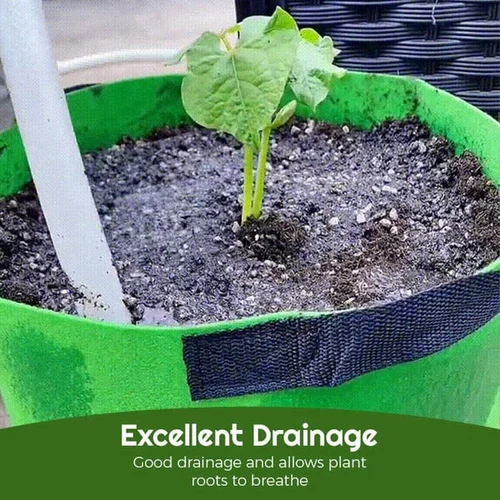🔥Spring Promotion 48% OFF - Fabric Vegetable Plant Growth Bag (BUY 5 GET 40% OFF)-Festivesl
