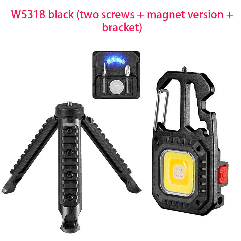 🔥HOT SALE - 50% OFF 🔥 Super Small Mini LED Lighted Flashlight Keychain-Festivesl