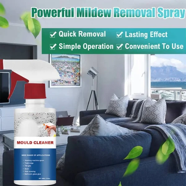 🔥Last Day Promotion -50% OFF🔥Mildew Cleaner Foam-Festivesl