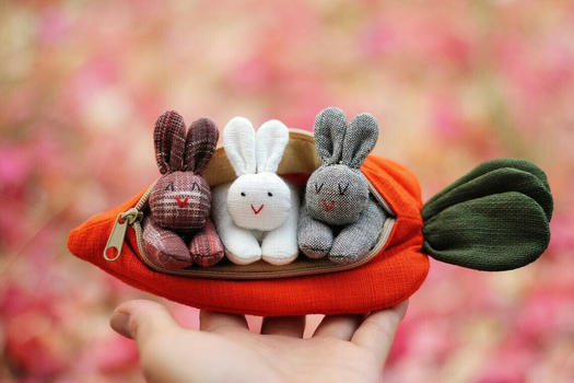 Hide-and-Seek Bunnies in Carrot Pouch-Festivesl