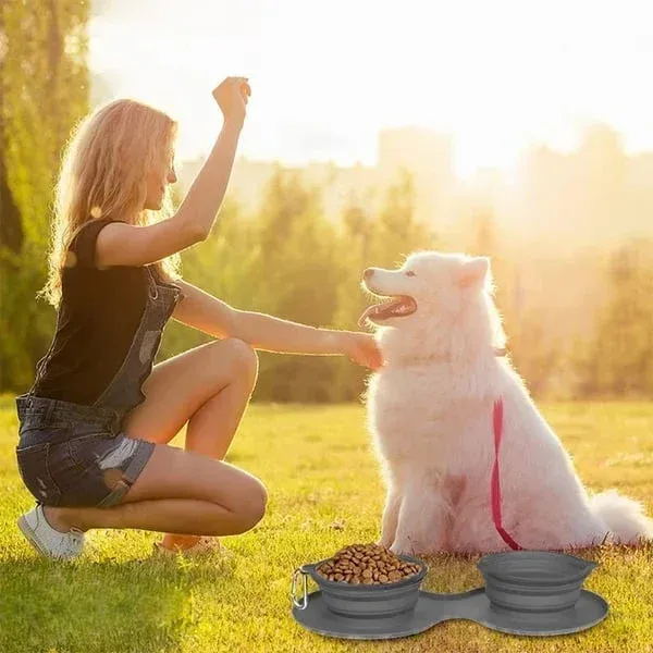 🔥Travel Dog Diner Set-Festivesl