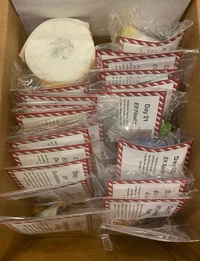 🎄 2023 Elf Kit 24 Days of Christmas-Festivesl