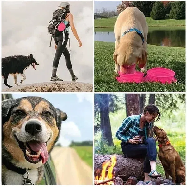 🔥Travel Dog Diner Set-Festivesl