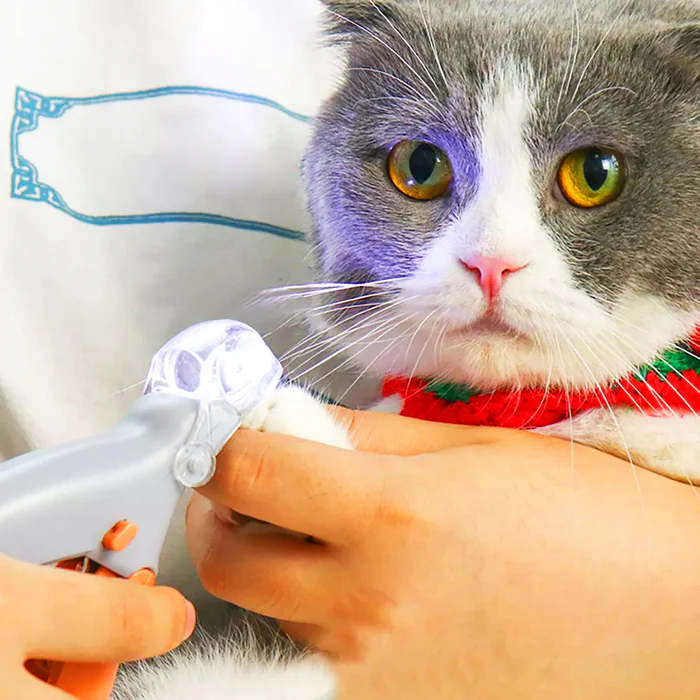 Pet Nail Trimmer-Festivesl