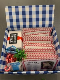 🎄 2023 Elf Kit 24 Days of Christmas-Festivesl