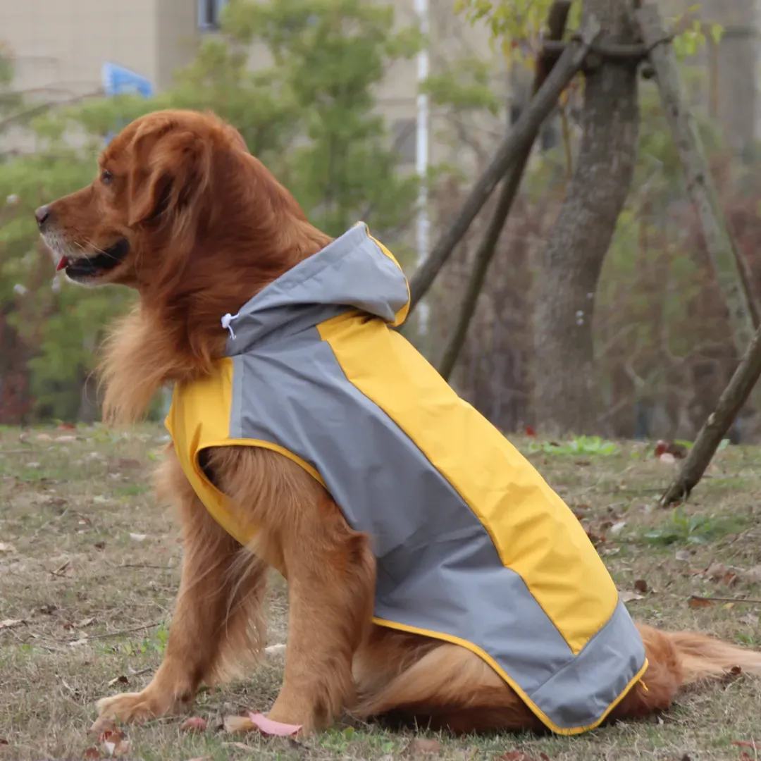 Large dog rain jacket best sale