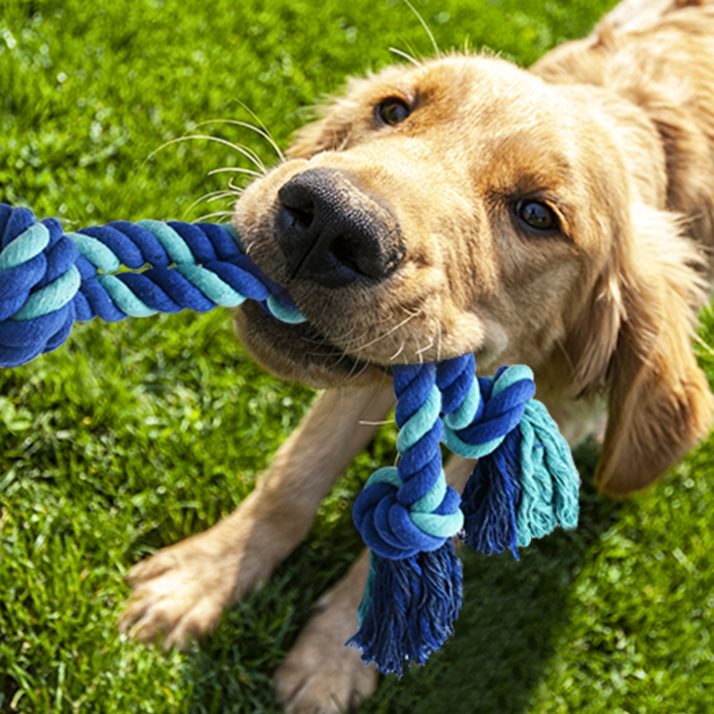 Dog Tree Tug of War Toy