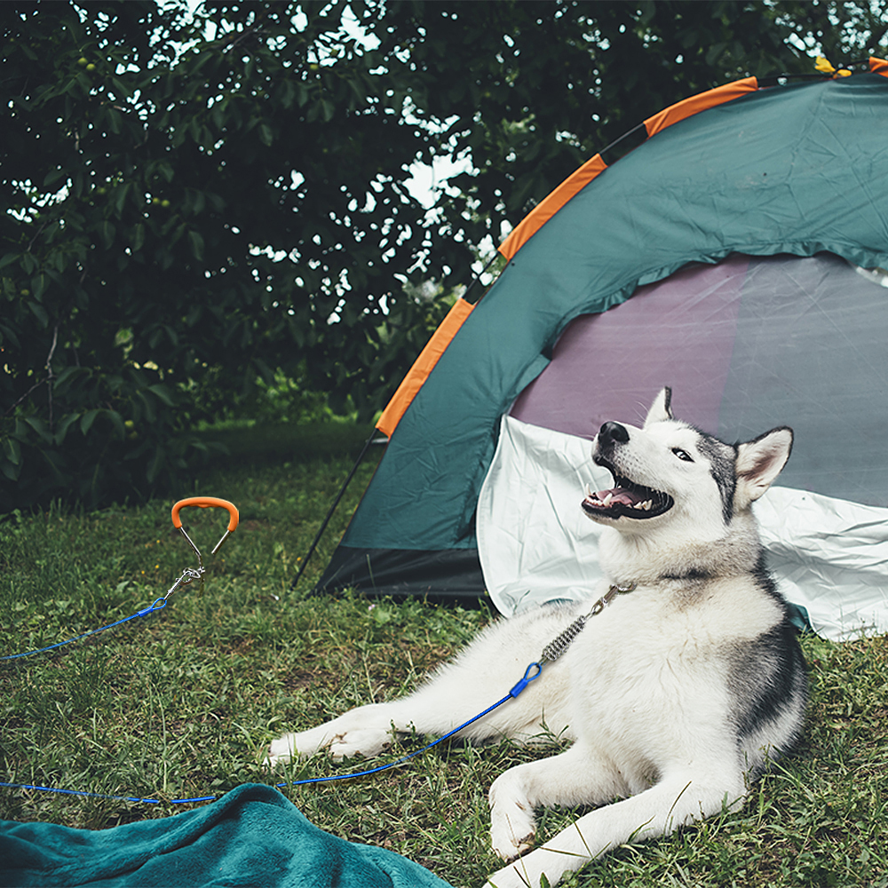 Dog Tie-out Cable & Stake